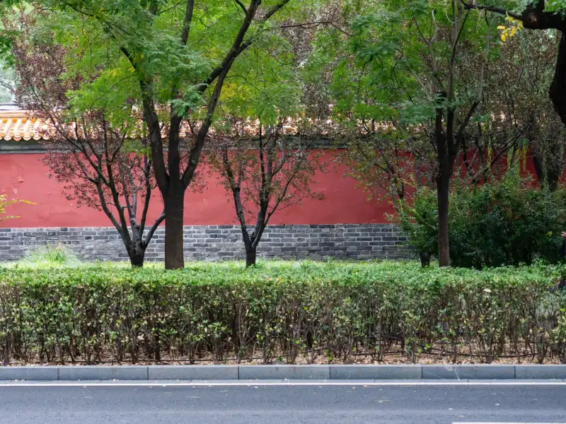 海口甄轩网络科技名片设计常见材质与工艺对比分析