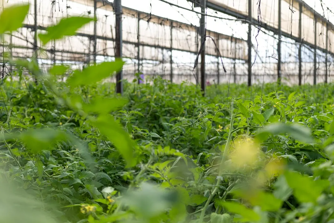 海南企业名片设计定制方案：从材质选型到印刷工艺全解析